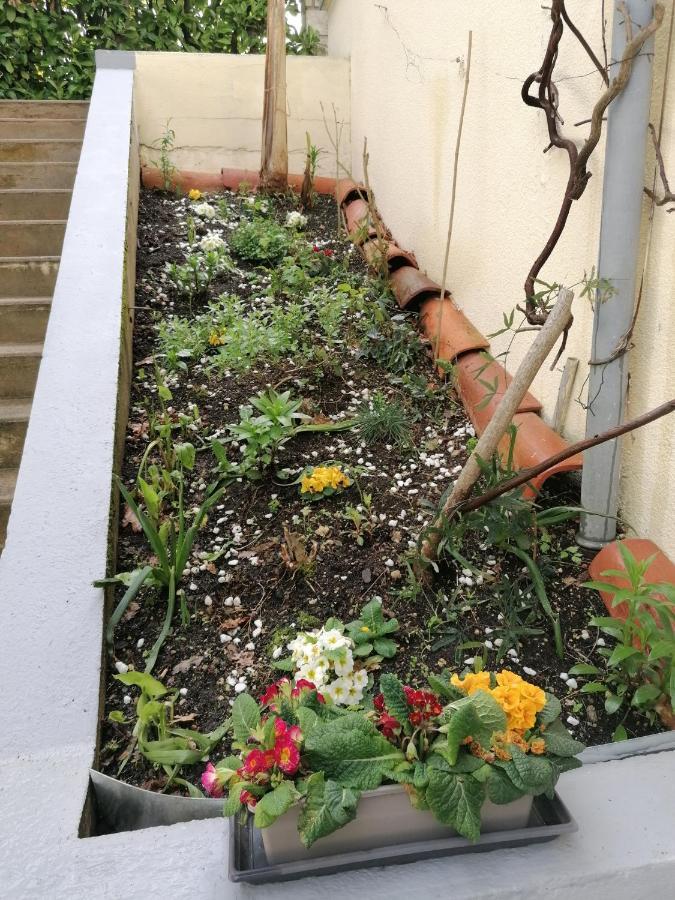 Gite Chez Pierrette Valence-sur-Baise ภายนอก รูปภาพ